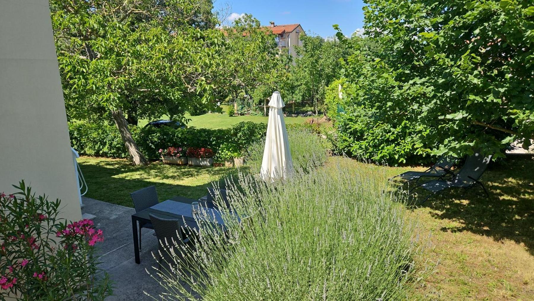 לאבין Gianna Apartment Labin מראה חיצוני תמונה