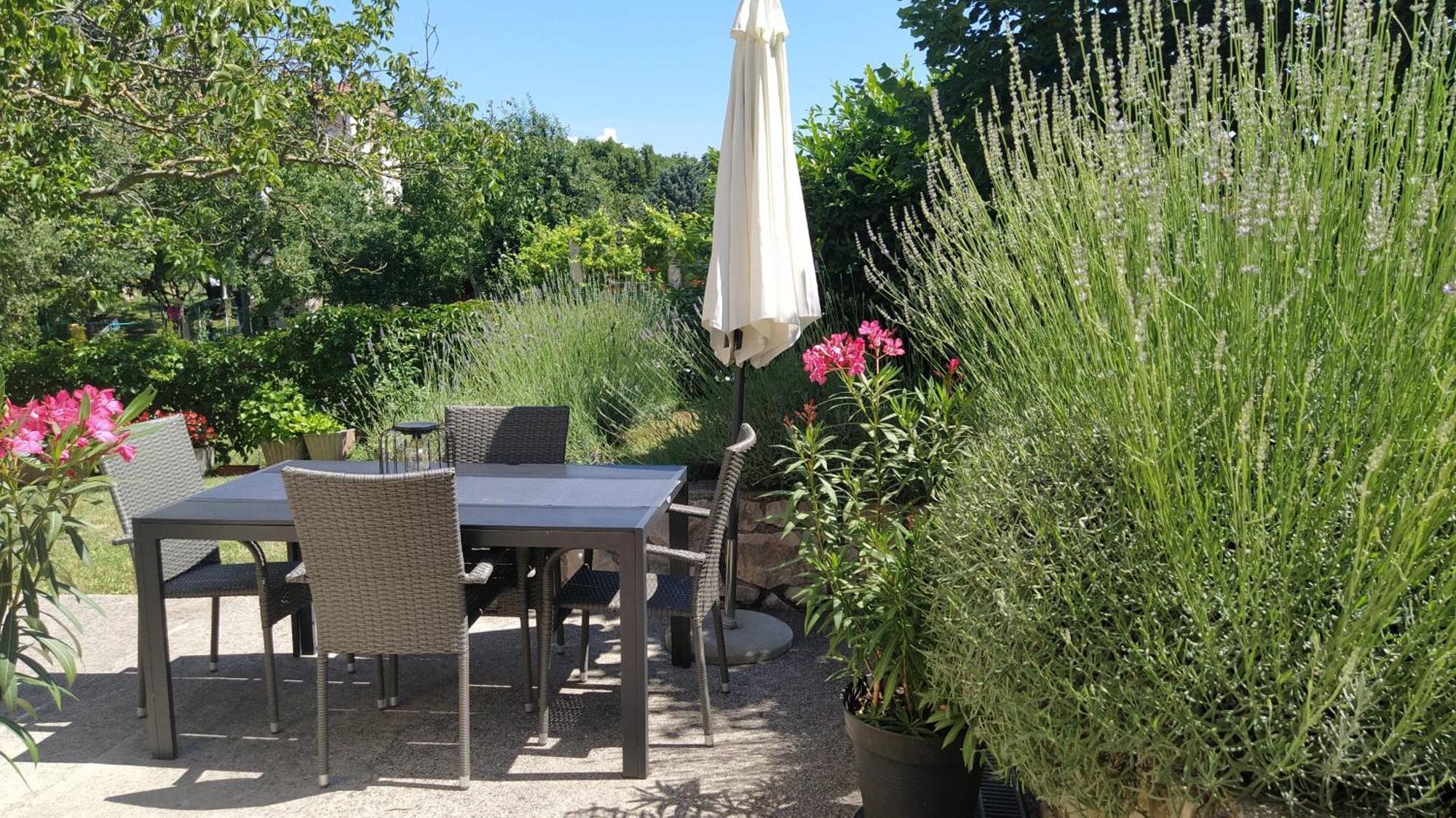 לאבין Gianna Apartment Labin מראה חיצוני תמונה