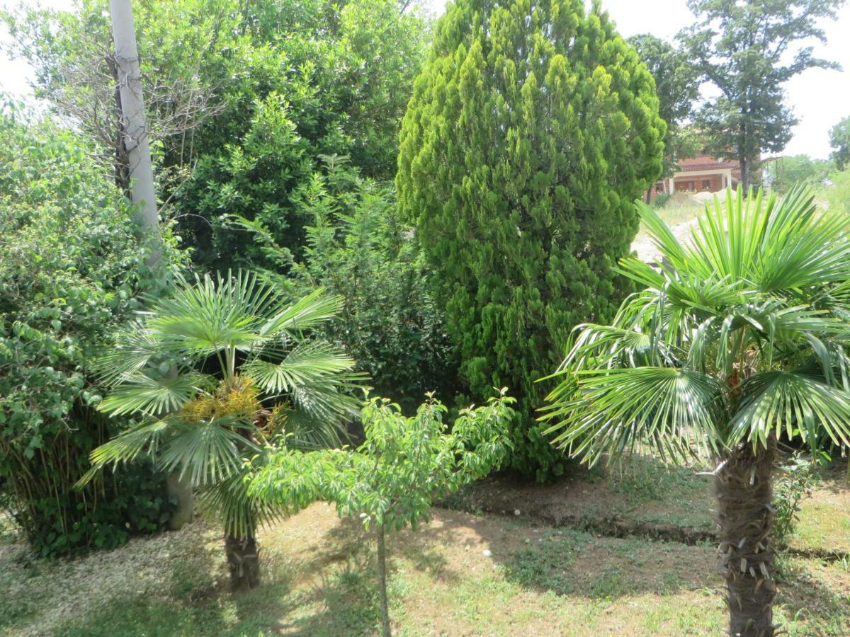 לאבין Gianna Apartment Labin מראה חיצוני תמונה